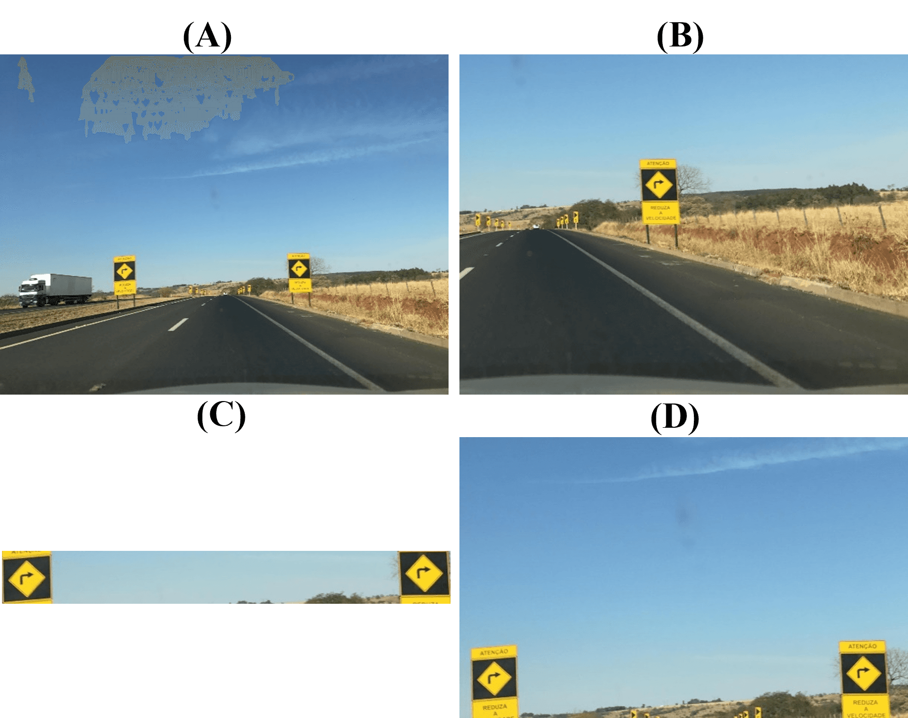 Comparison of Cropping Techniques